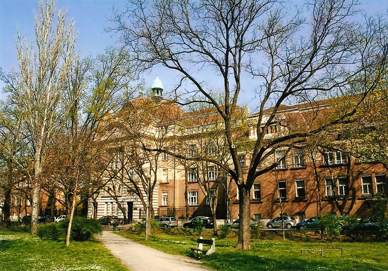 iskola